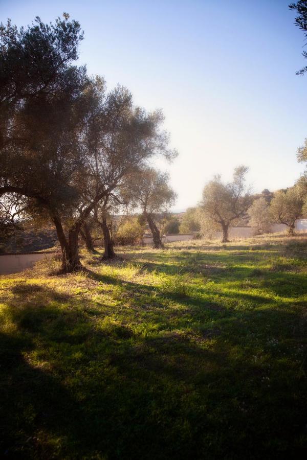 Finca Palmers Dos มิฮาส ภายนอก รูปภาพ